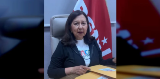 Carmen Meléndez calificó de «exitosa» las asambleas para la postulación y conformación del Equipo Político Comunal del PSUV