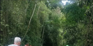 Gobierno de Caracas rehabilita vialidad en el sector Sanchorquiz de La Pastora